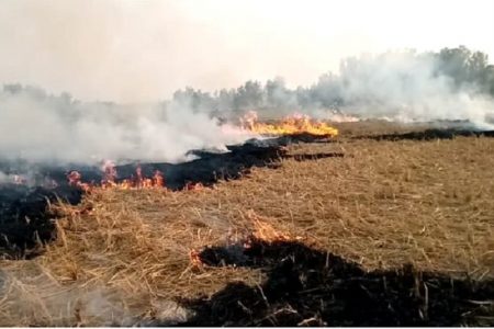 बाराबंकी में खुलेआम जलाई जा रही पराली, जिम्मेदार अधिकारियों ने साधी चुप्पी