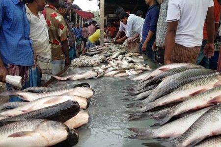 यूपी में Corona कर्फ़्यू: तीर्थस्थान प्रतिबंधित लेकिन मांसाहारी दुकानों पर कोई प्रतिबंध नहीं