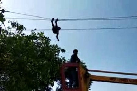 हाईटेंशन लाइन पर चढ़े संविदा कर्मियों ने कटा हंगामा, ये थी वजह