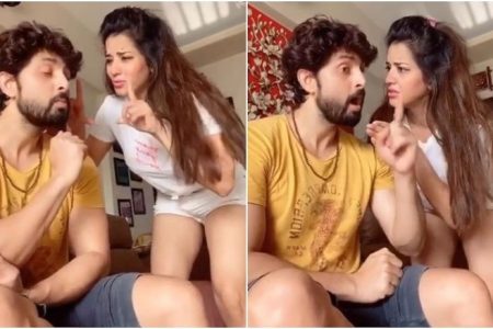 बाहर खाना खिलाने की जिद कर रही थी मोनालिसा, पति लगाई फटकार, Video वायरल