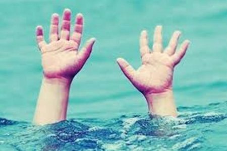 तालाब में डूबकर दो सगे भाइयों की मौत