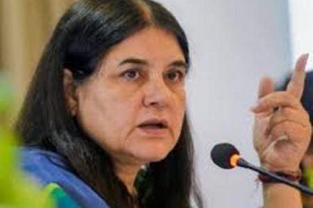 सांसद मेनका गांधी पर भारी पड़ा उनका ही बयान