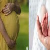 Surrogate Mother