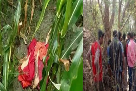 महिला के साथ हैवानियत, पहले गैंगरेप फिर निर्वस्त्र कर किया ये हाल……