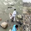 कुत्ते