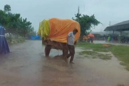 प्रशासन की उदासीनता और बारिश किसानों के लिए बनी आफत