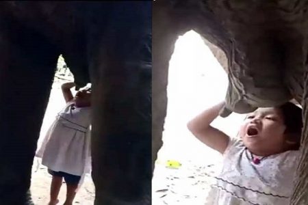 हथिनी का दूध पीती 6 साल की बच्ची का Video वायरल, देख कर हैरान रह गए लोग