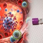 HMPV-Virus