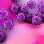 Human Metapneumovirus China