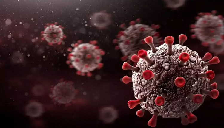 corona-virus