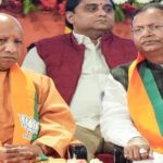 yogi-new-team